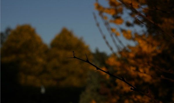 Диафрагма f/11